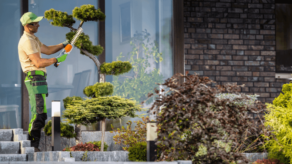 outdoor business ideas - landscaper trimming bonsai tree