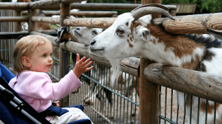 50 Small Business Ideas for People Who Like Working with Kids