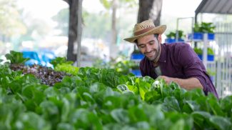 farmer working in the organic farm.