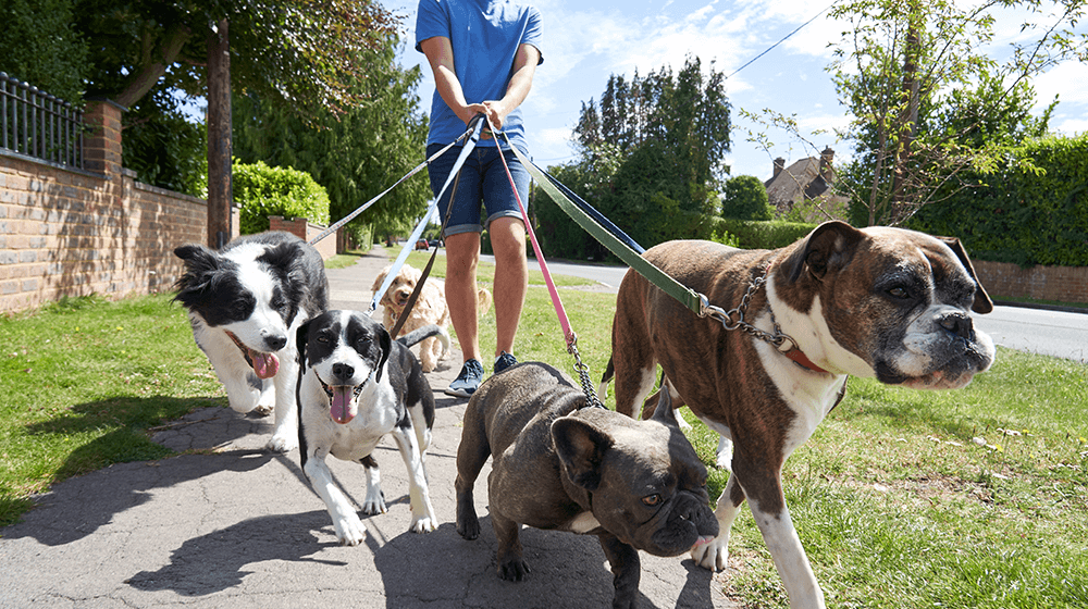 hobbies that make money