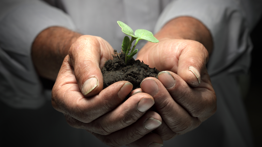 How to Grow Your Small Business