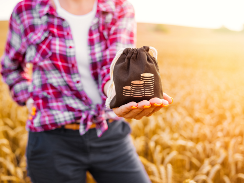 what grants do i quality for